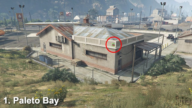 GTA 5 Monkey Mosaics 1