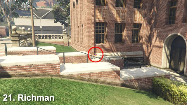 GTA 5 Monkey Mosaics 21