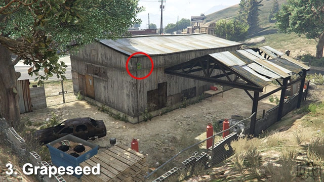 GTA 5 Monkey Mosaics 3