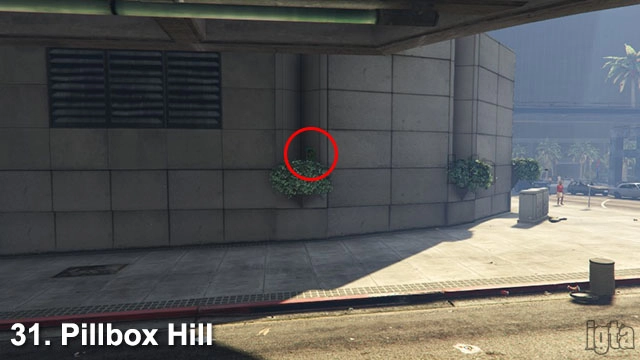 GTA 5 Monkey Mosaics 31