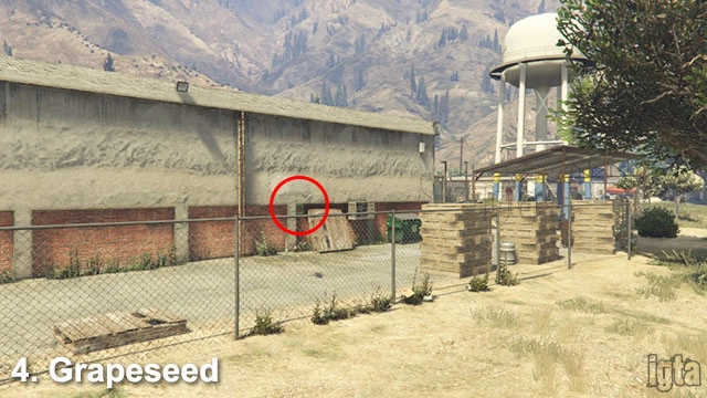 GTA 5 Monkey Mosaics 4