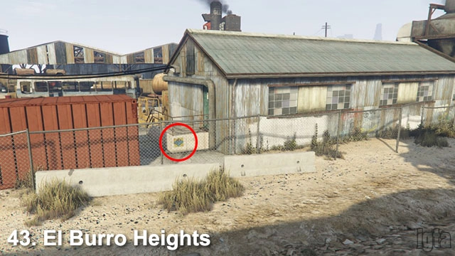 GTA 5 Monkey Mosaics 43