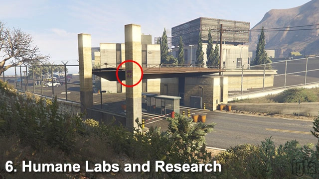 GTA 5 Monkey Mosaics 6