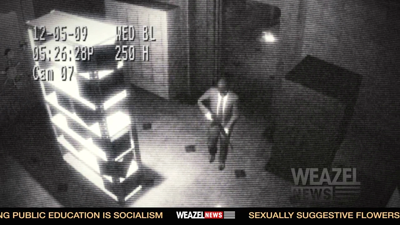 Bank Robbery