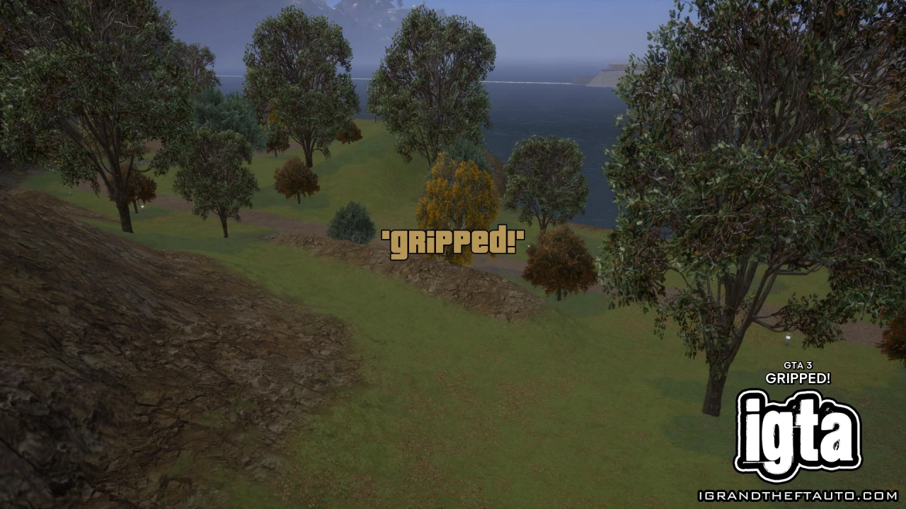 GTA 3 Gripped 5