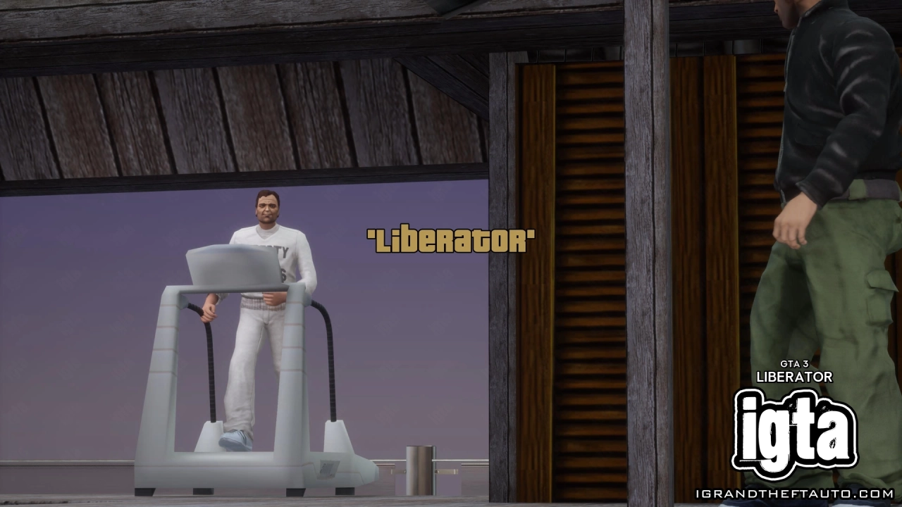GTA 3 Liberator 1