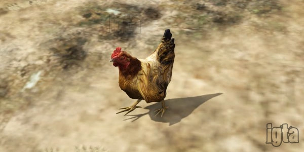 GTA 5 Animal Hen