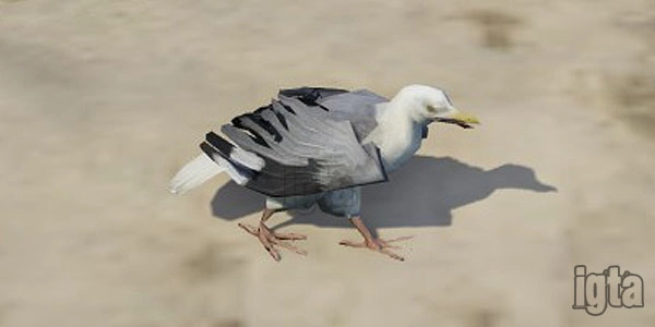 GTA 5 Animal Seagull