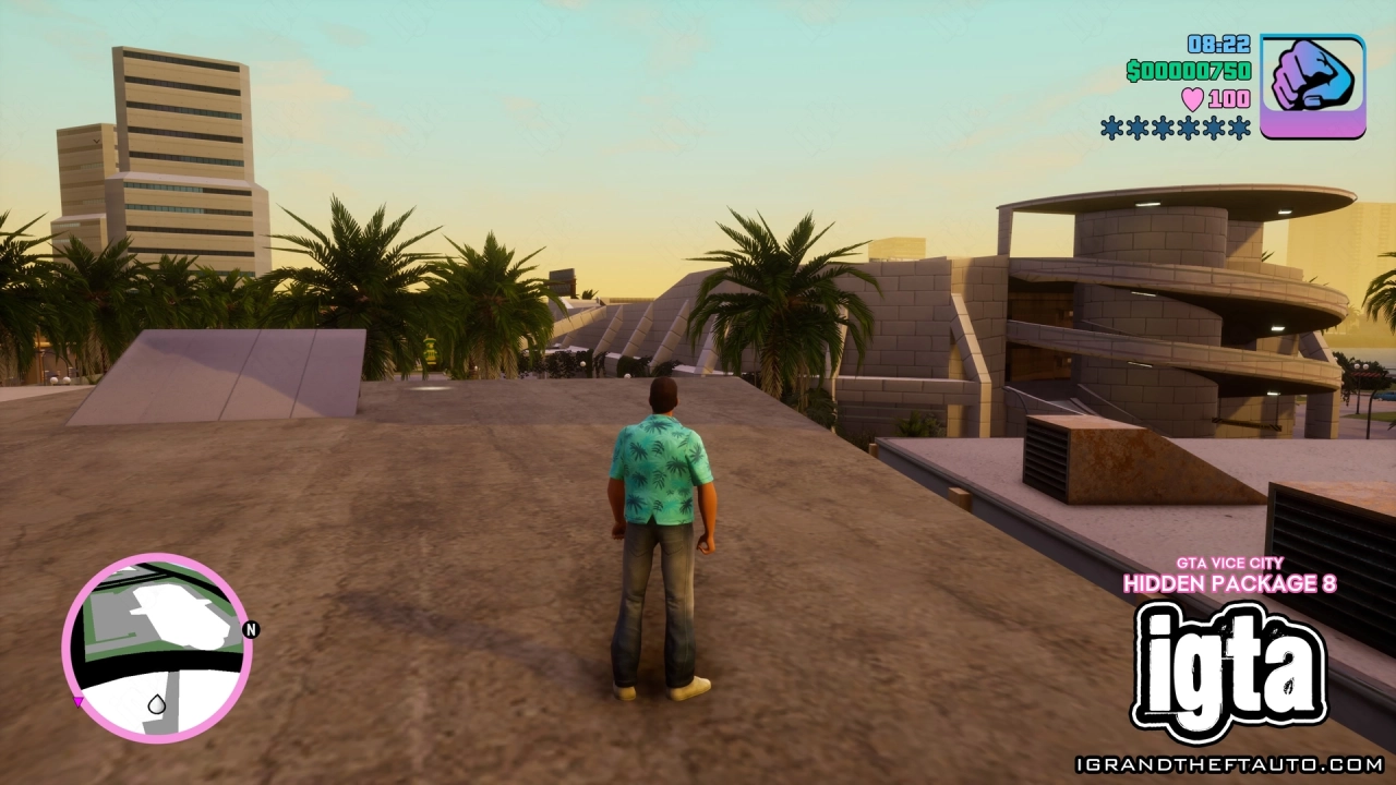 GTA Vice City Hidden Package 8