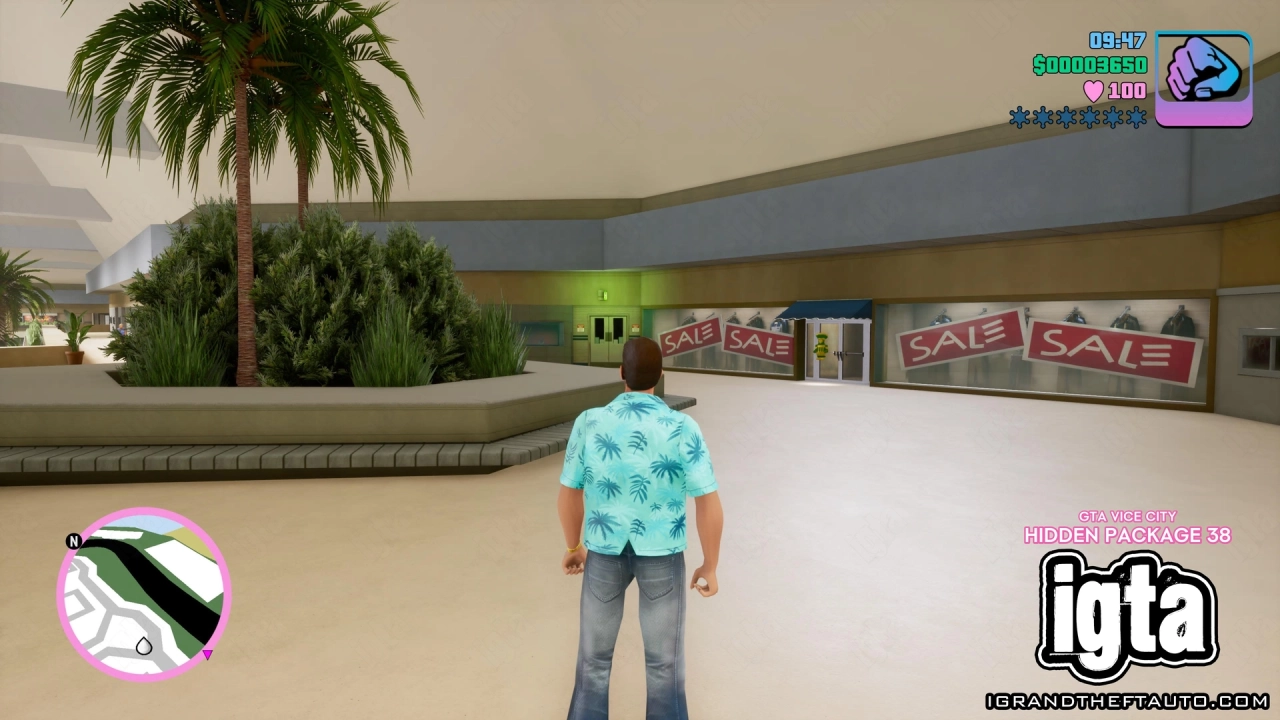 GTA Vice City Hidden Package 38