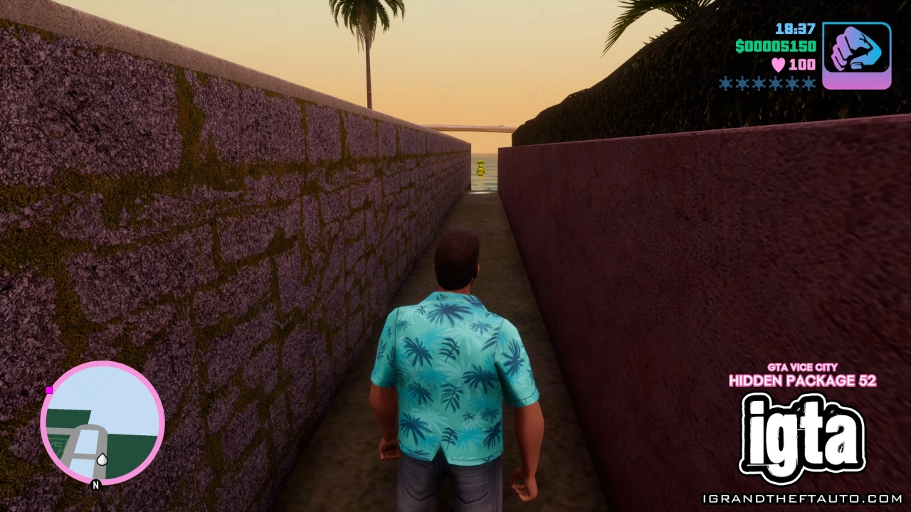 GTA Vice City Hidden Package 52