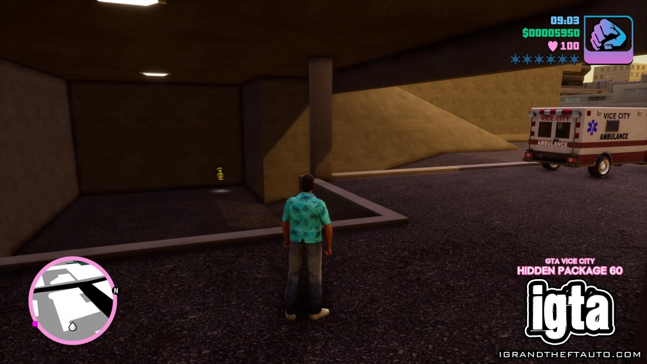 GTA Vice City Hidden Package 60