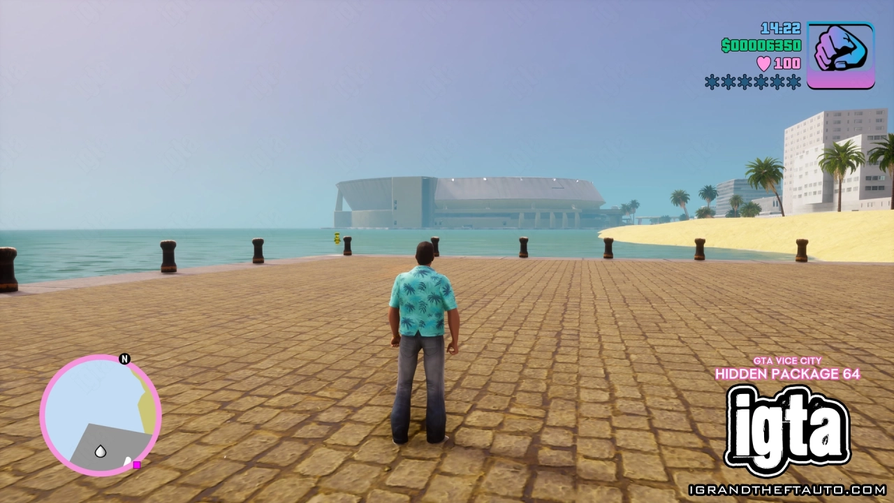 GTA Vice City Hidden Package 64