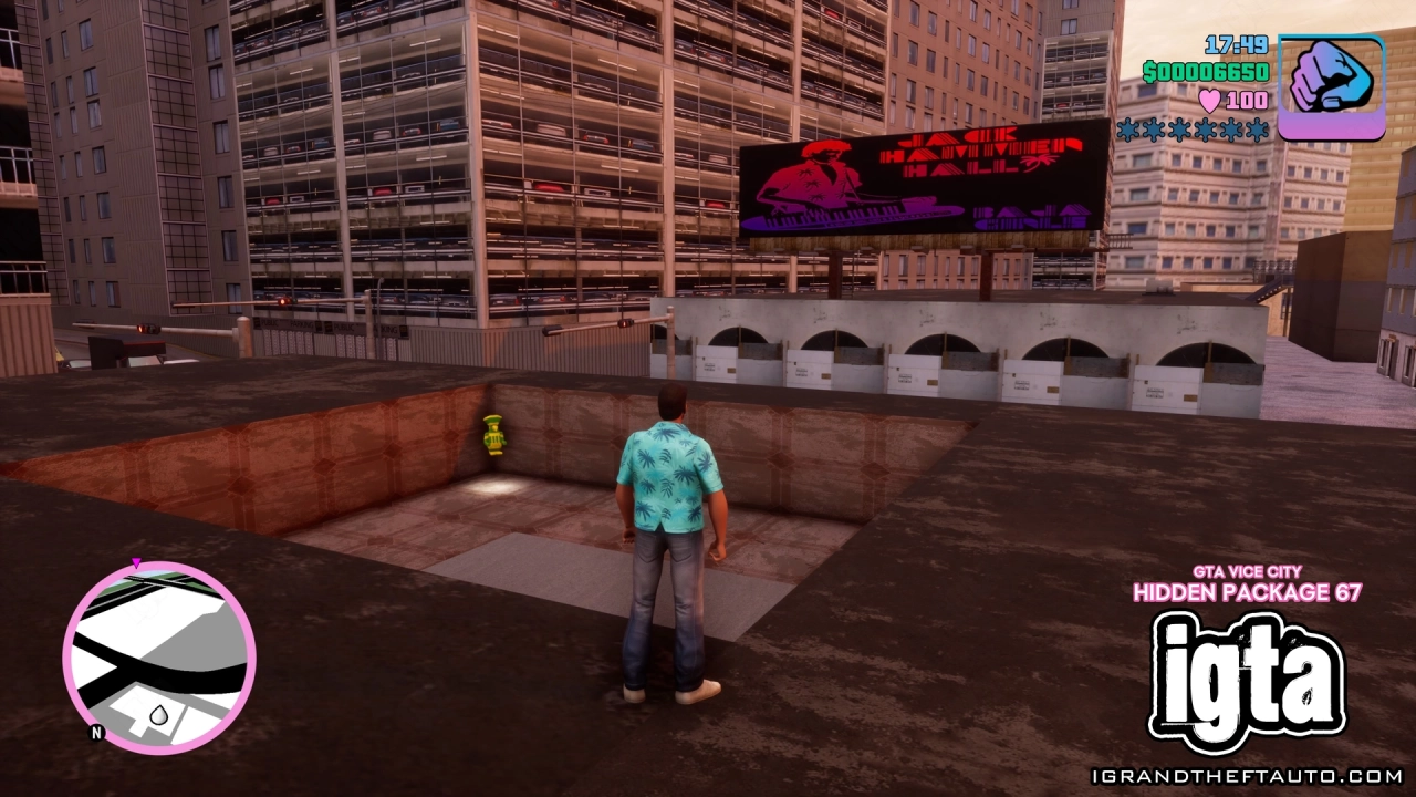 GTA Vice City Hidden Package 67