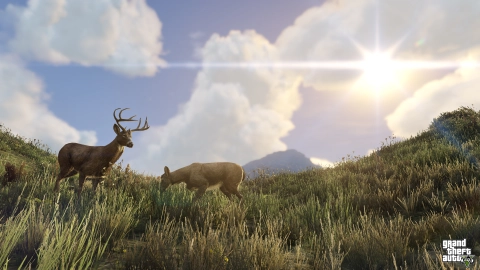 Wildlife Photography (New-Gen Returning Players)